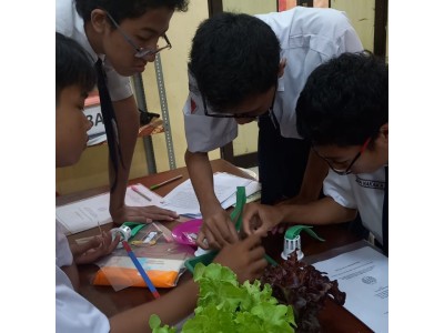 Hydroponic Farming.2