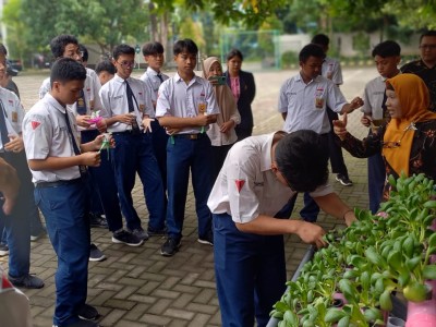 Hydroponic Farming