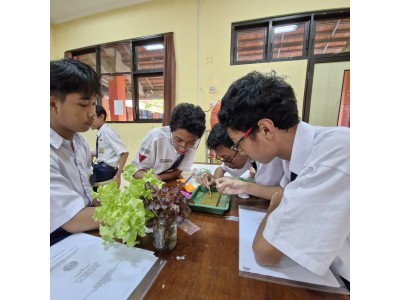 Hydroponic Farming.5